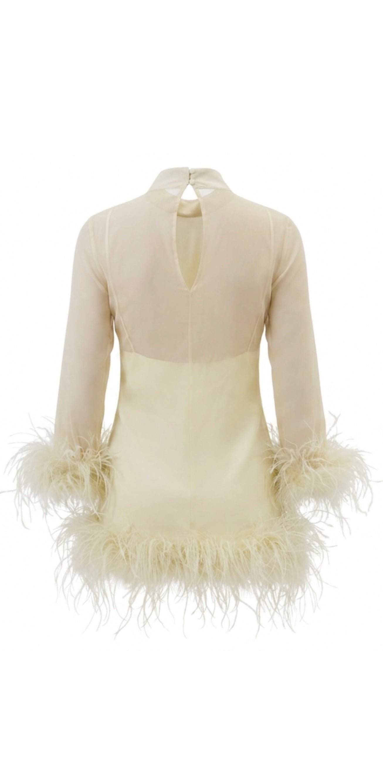 SWAN DRESS