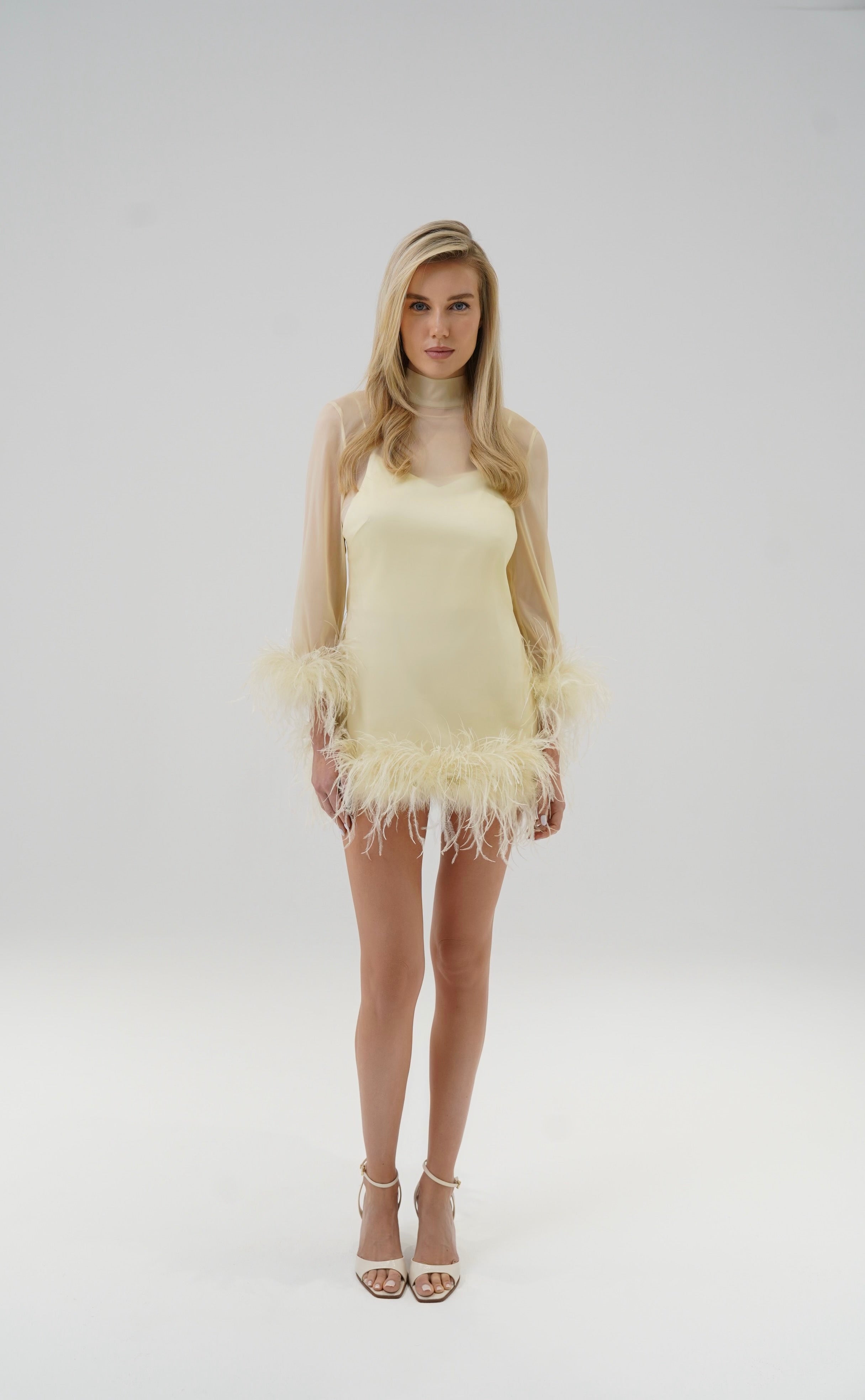 SWAN DRESS
