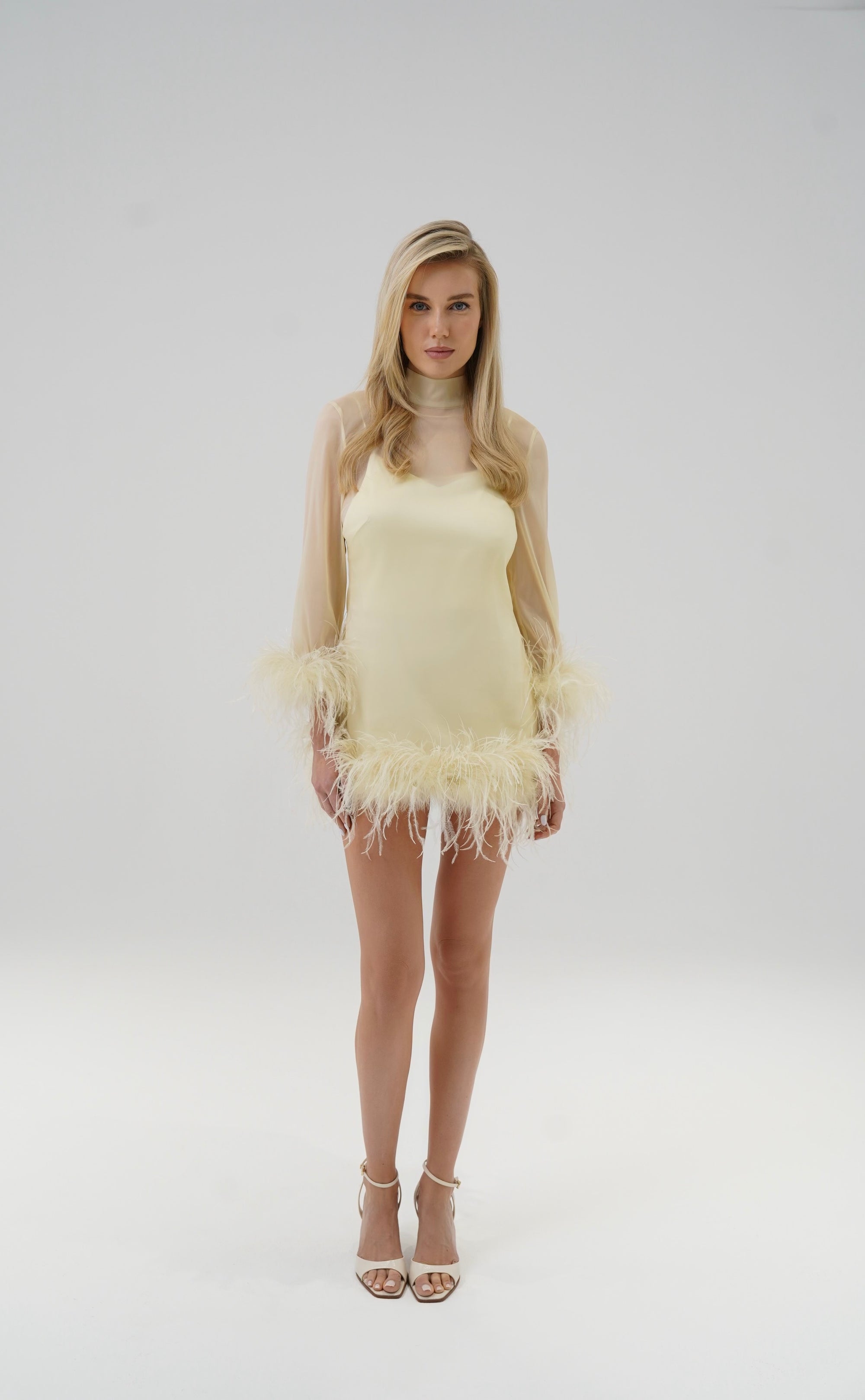 SWAN DRESS
